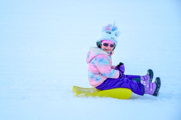 Picture for category Sledding